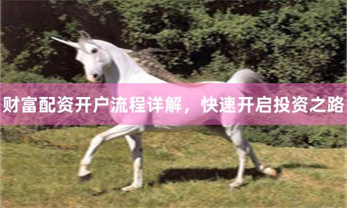 财富配资开户流程详解,快速开启投资之路