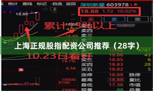 上海正规股指配资公司推荐（28字）