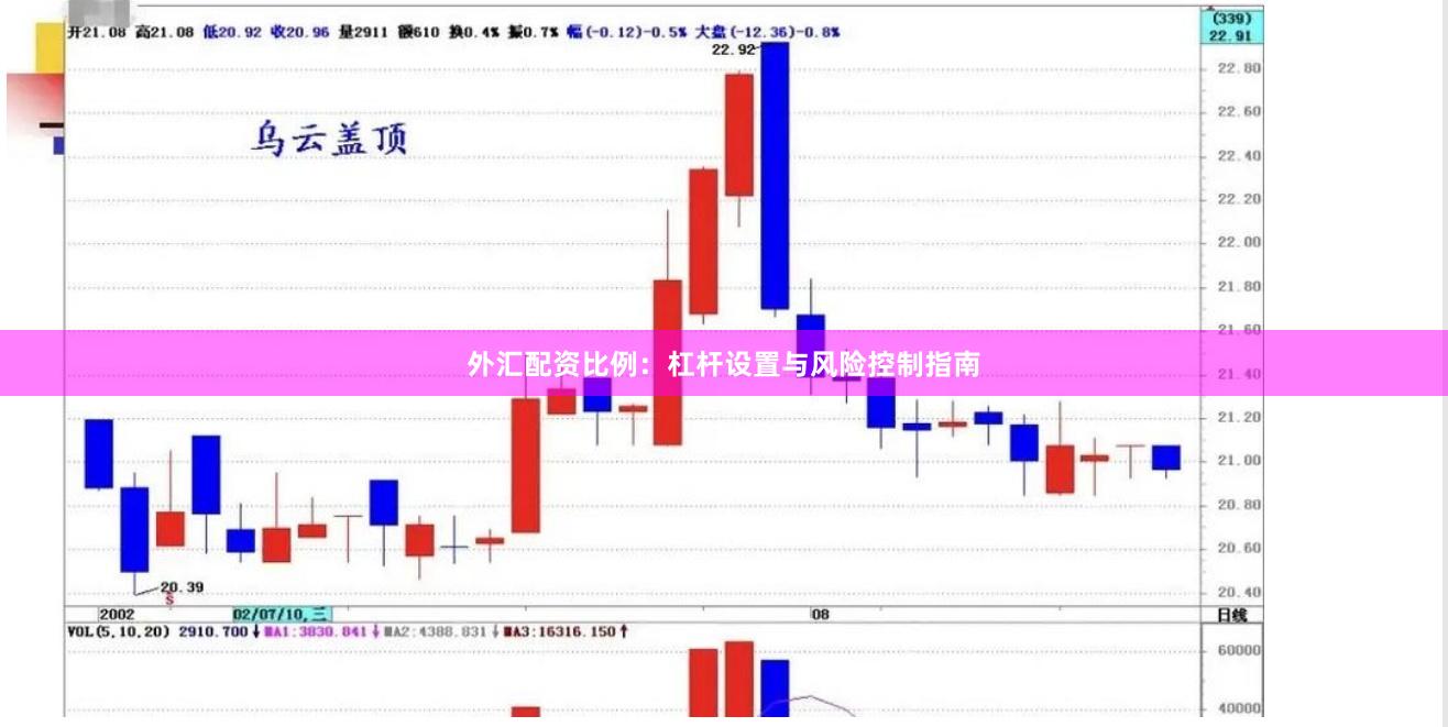 外汇配资比例：杠杆设置与风险控制指南